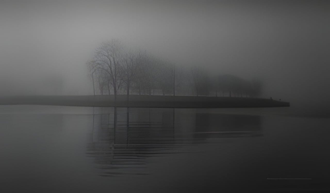 Fog drifting across the lakeshore