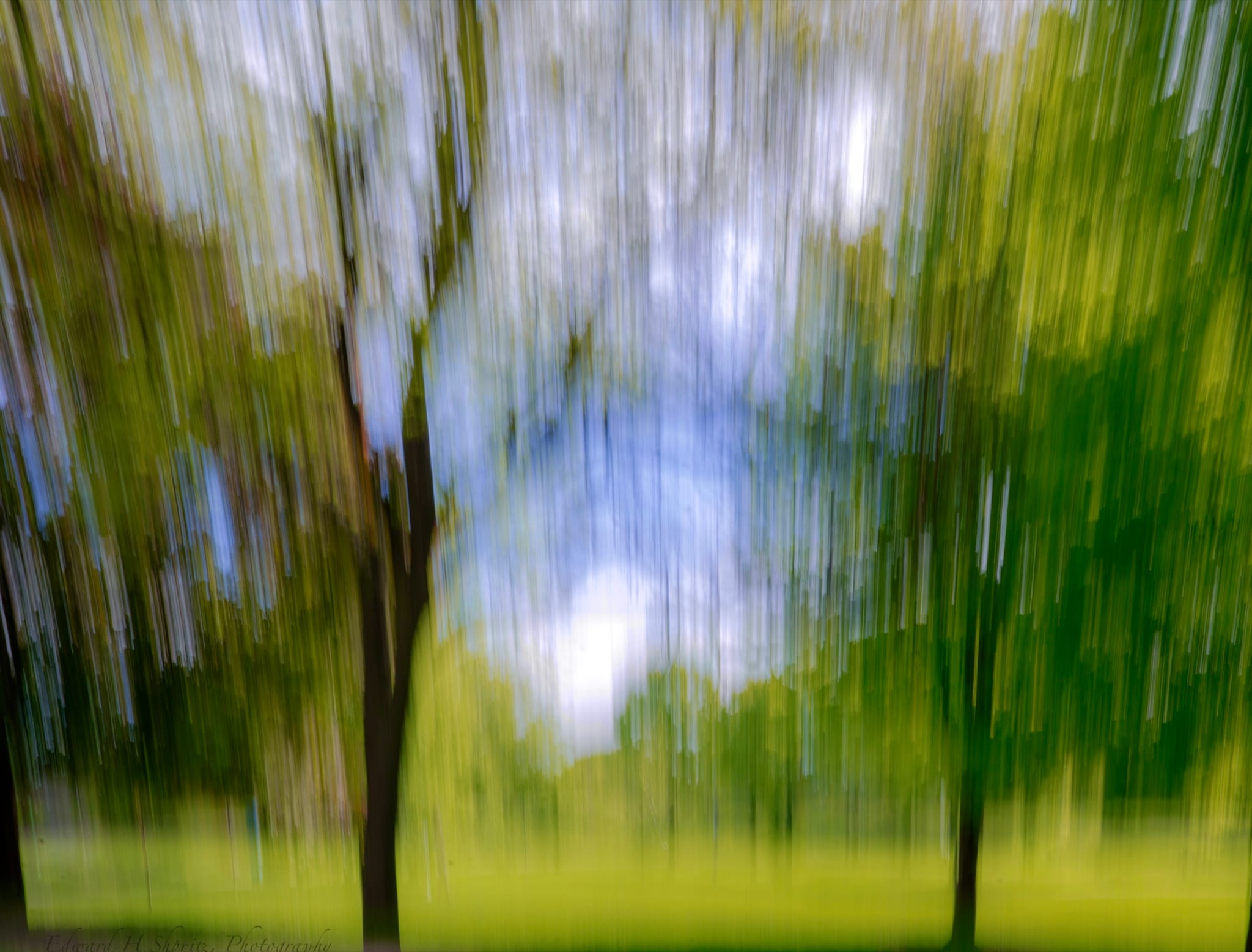 A luminous green woodland rendered as vertical painterly streaks