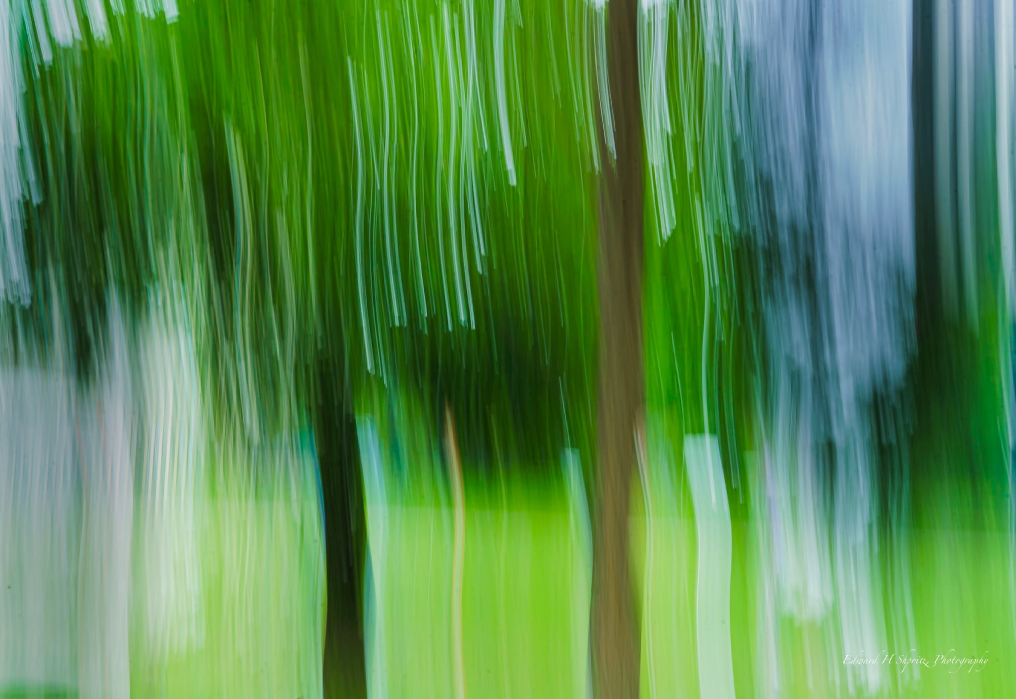 Green trees simplified into long vertical bands of light and color
