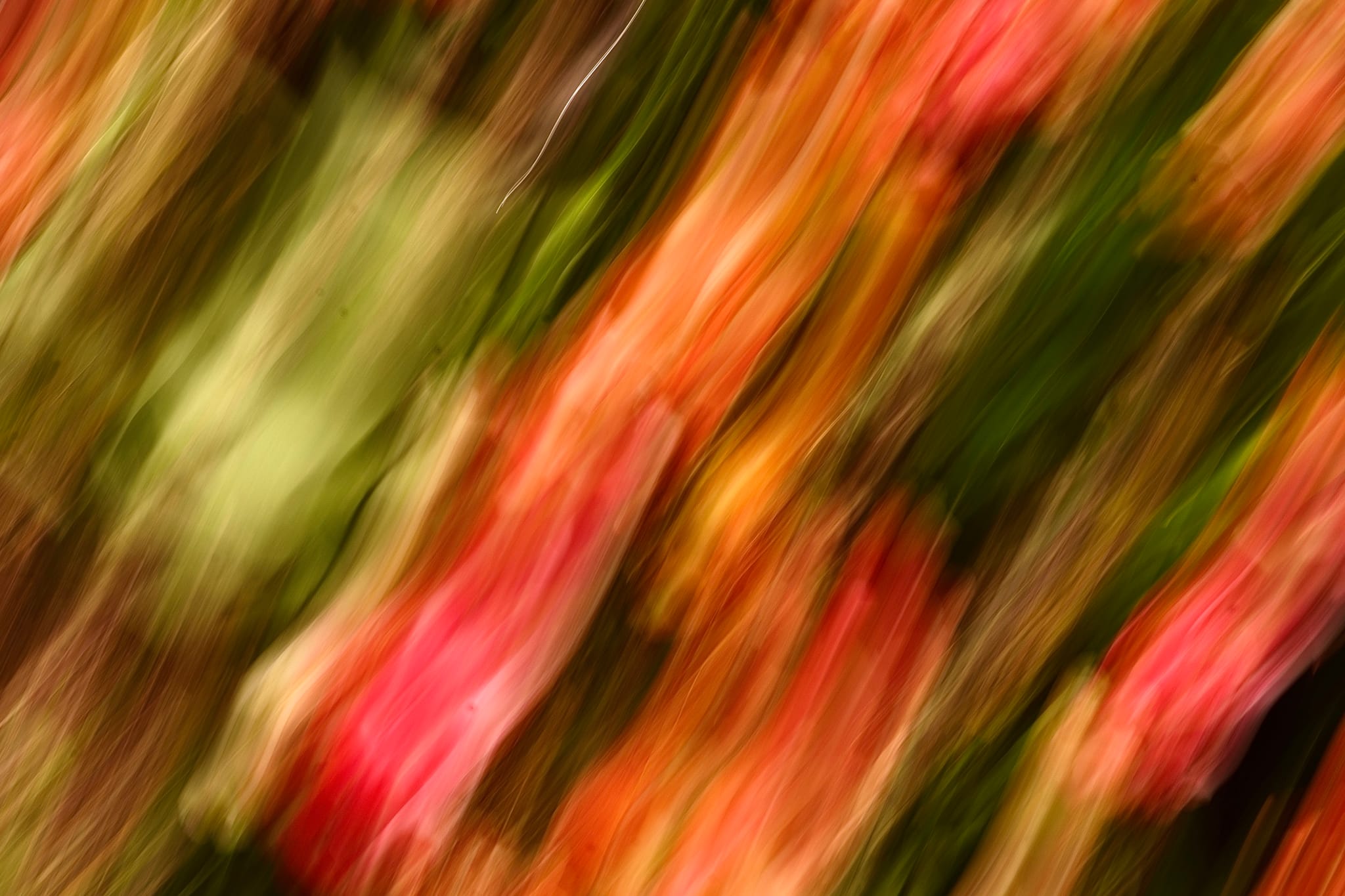 Diagonal ribbons of coral, orange, green, and black
