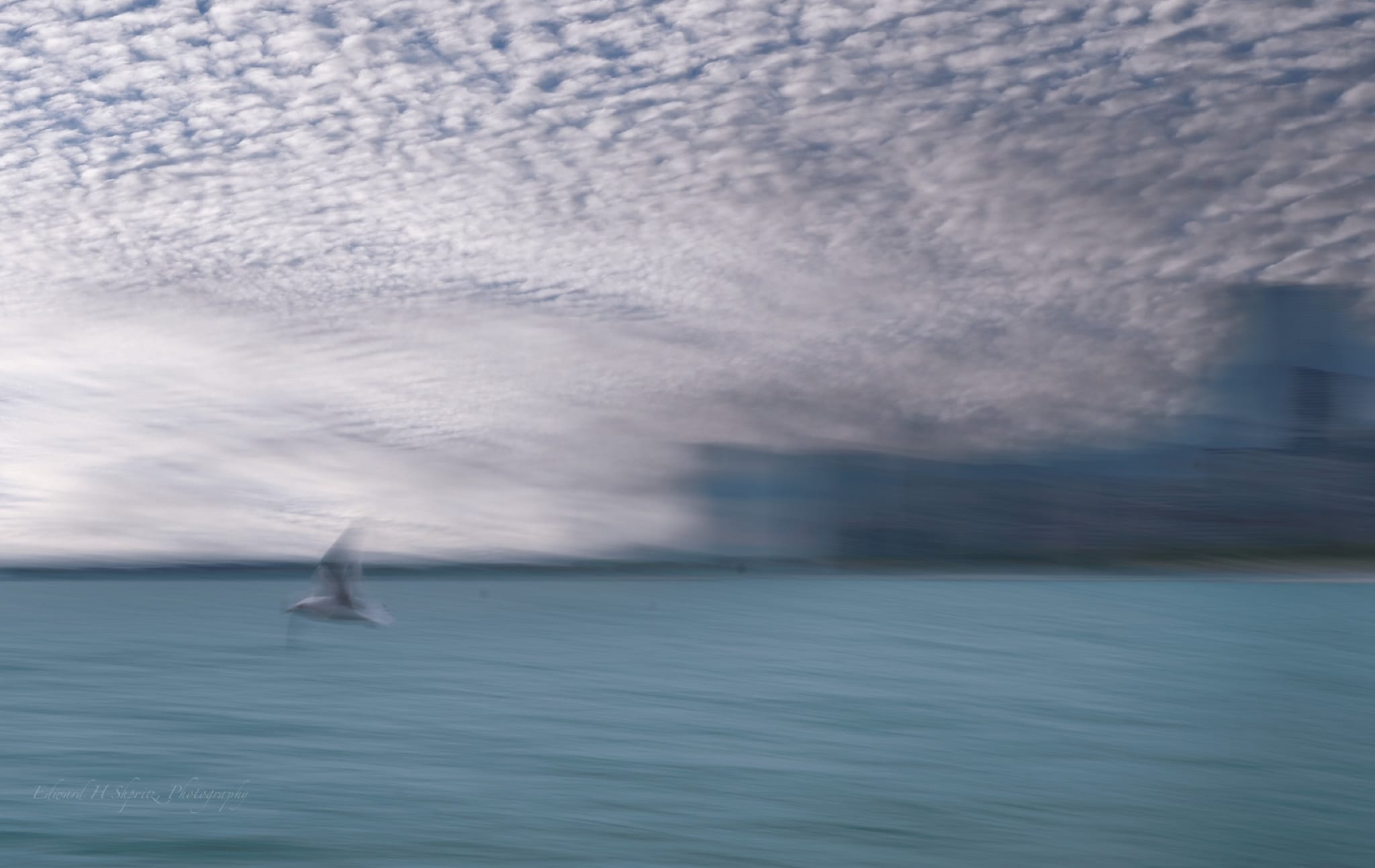 A bird skimming pale blue water beneath a textured sky and softened skyline