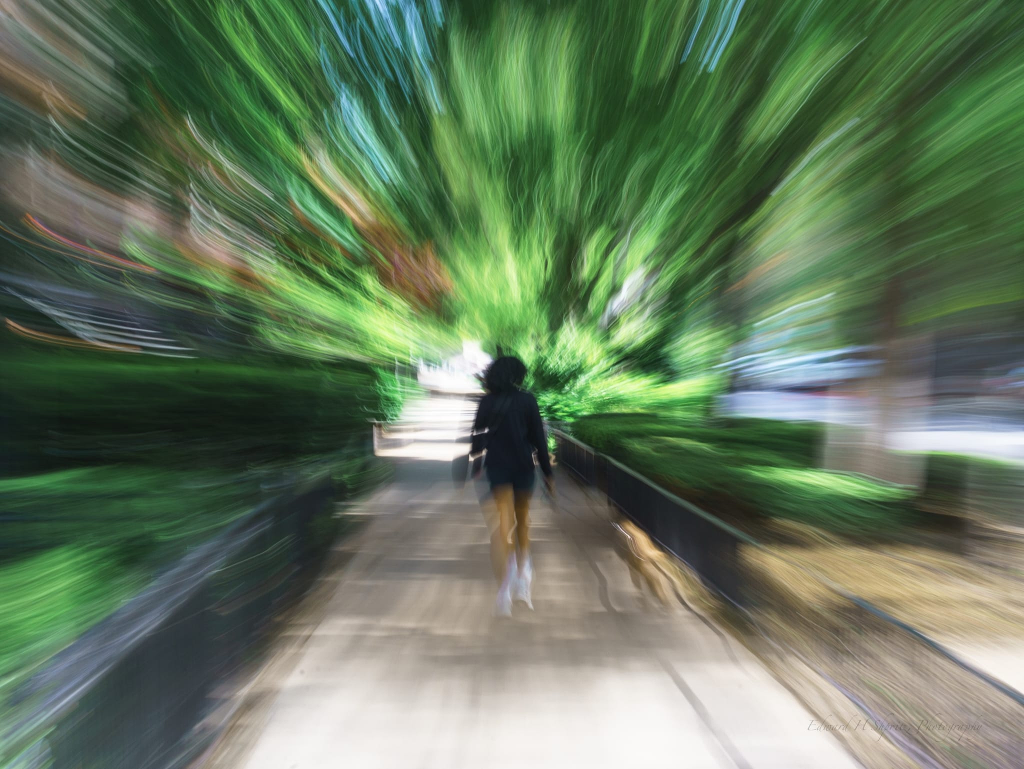 A lone figure walking toward a bright opening as greenery radiates around them