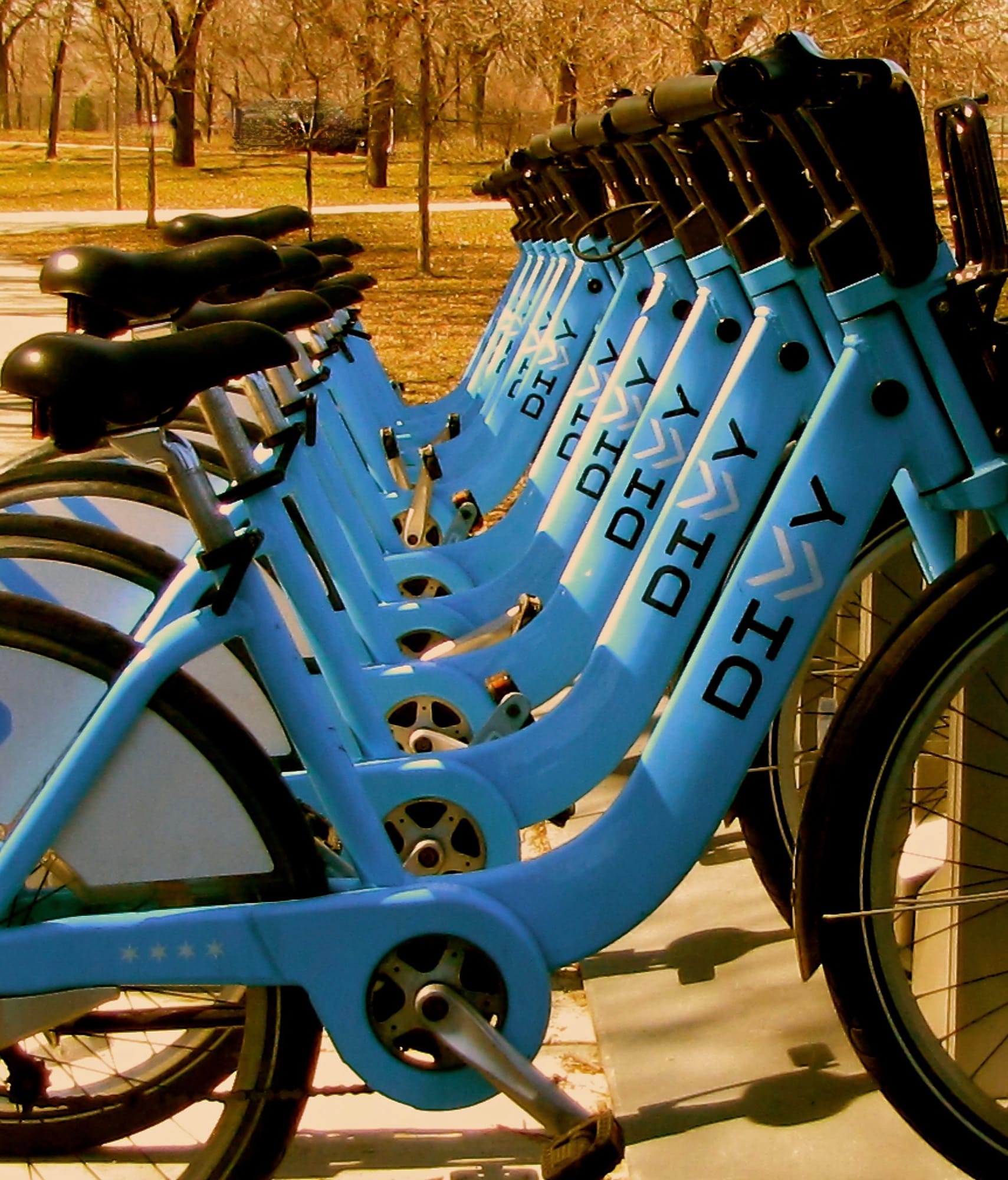Repeating row of blue rental bicycles