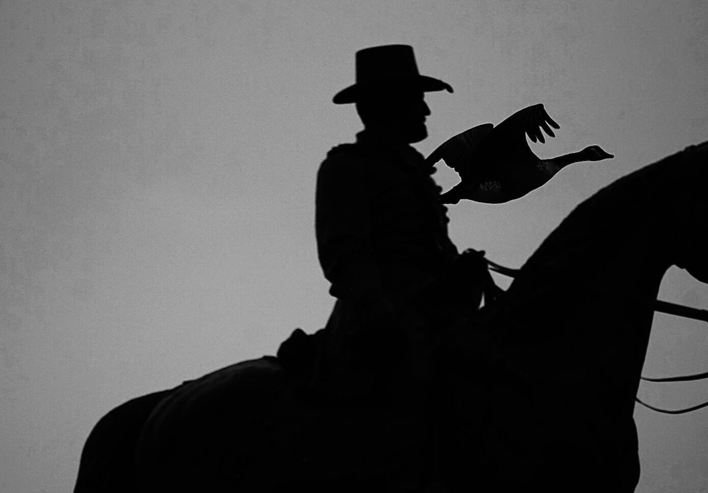 Silhouette of a rider and flying goose