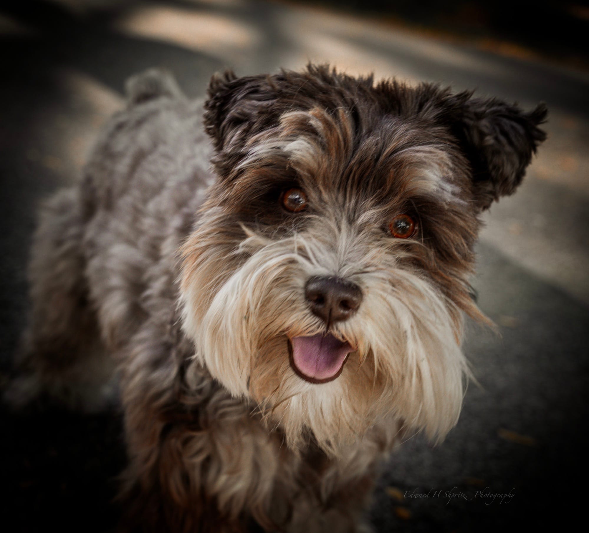 Photograph by Ed Shpritz