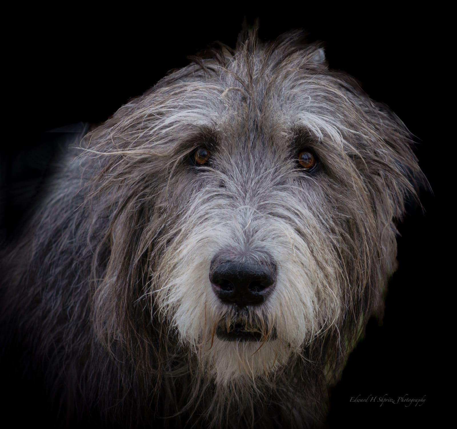 Photograph by Ed Shpritz
