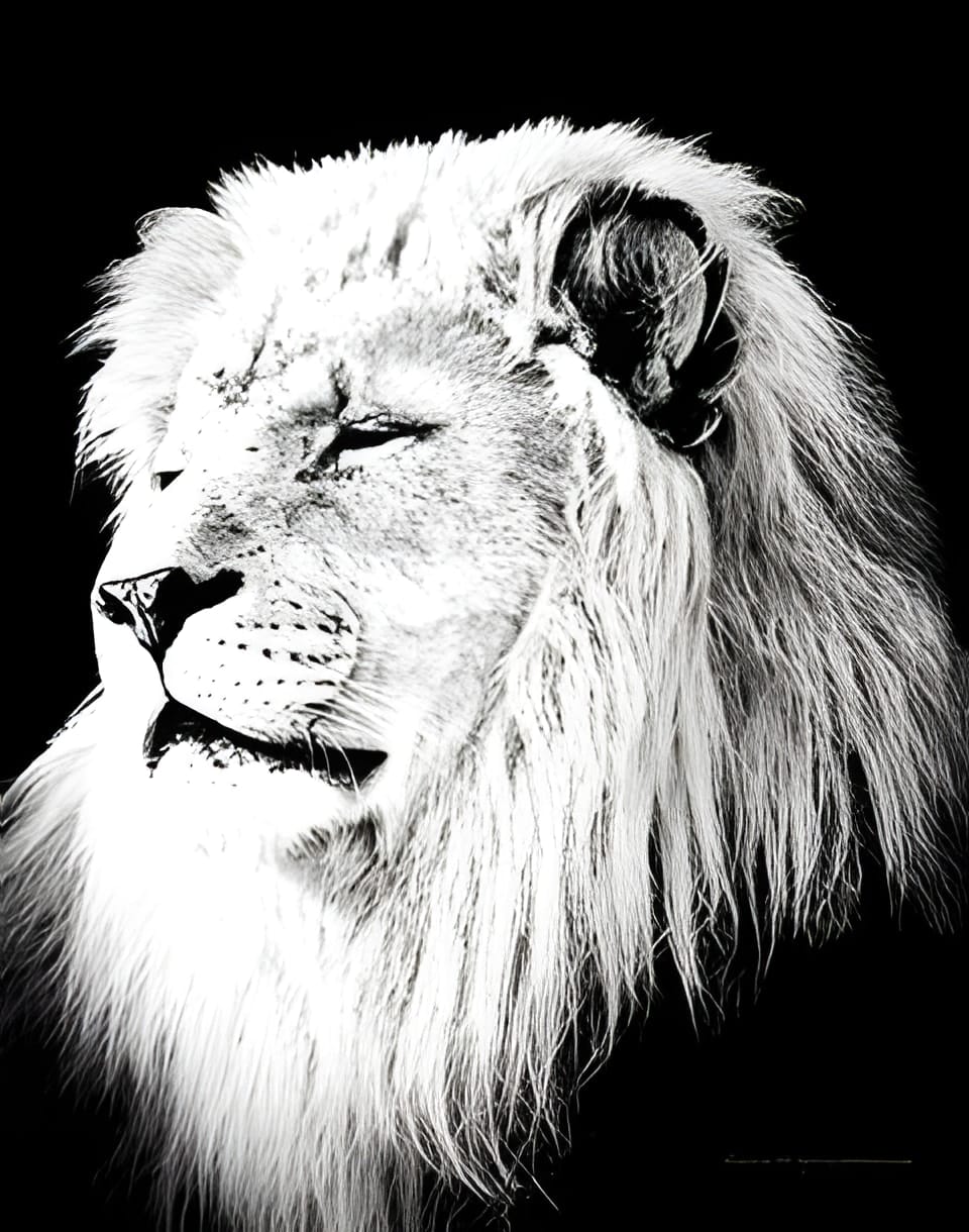 Photograph by Ed Shpritz