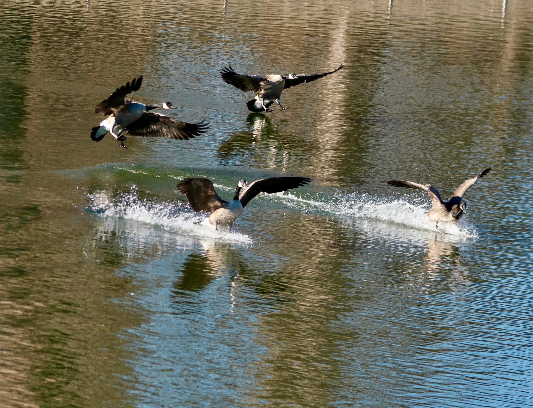 Photograph by Ed Shpritz