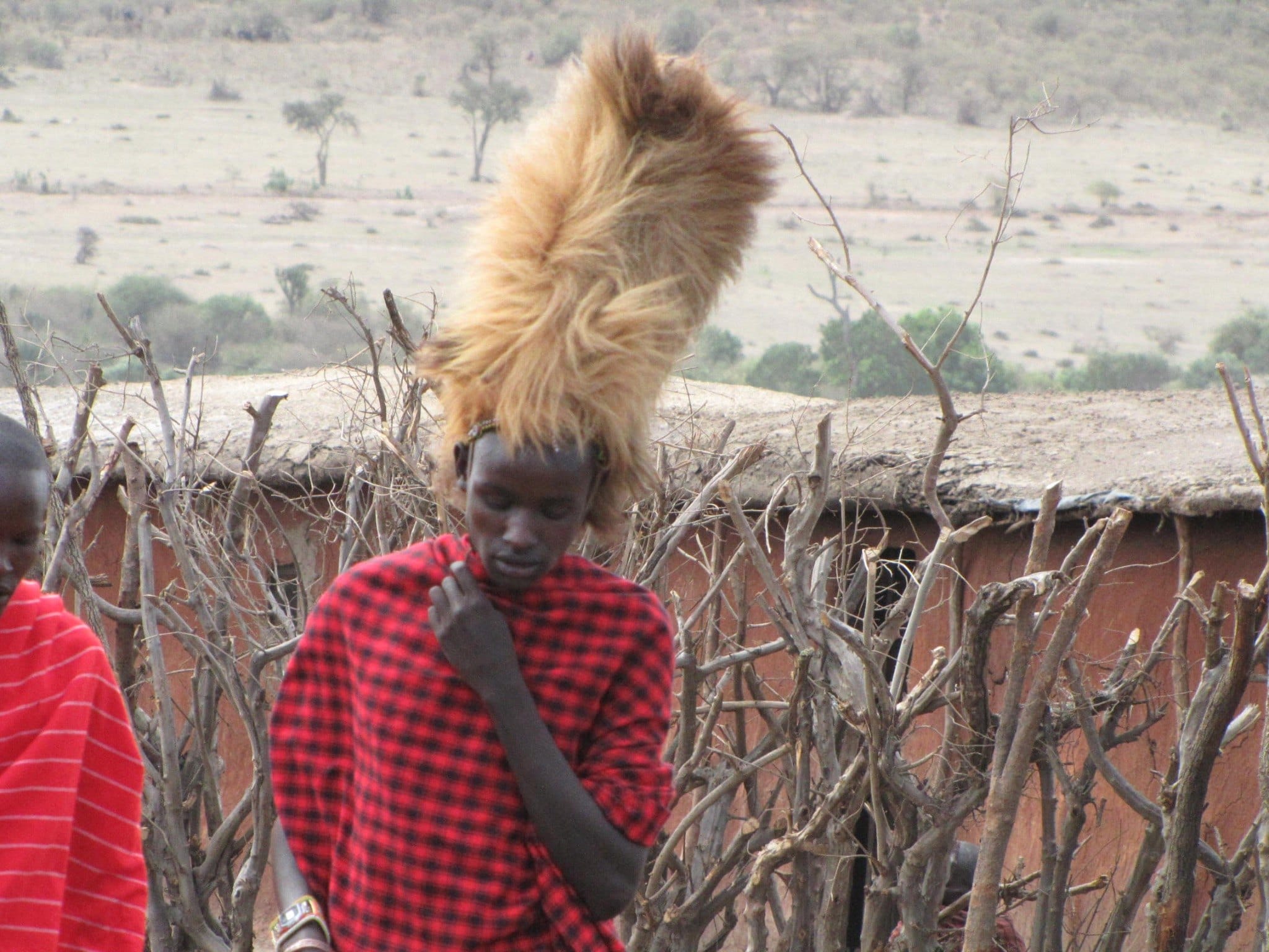 A man carrying a tall bundle walks beside a rural fence. — by Ed Shpritz