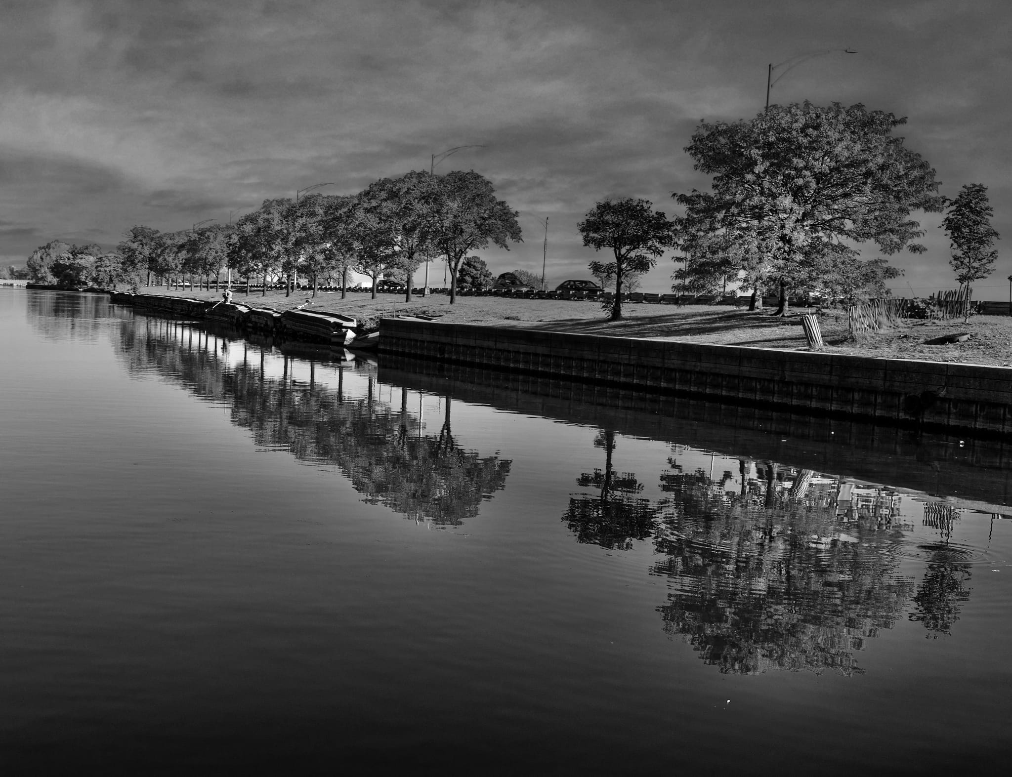 Trees and a quiet lagoon mirrored in black and white