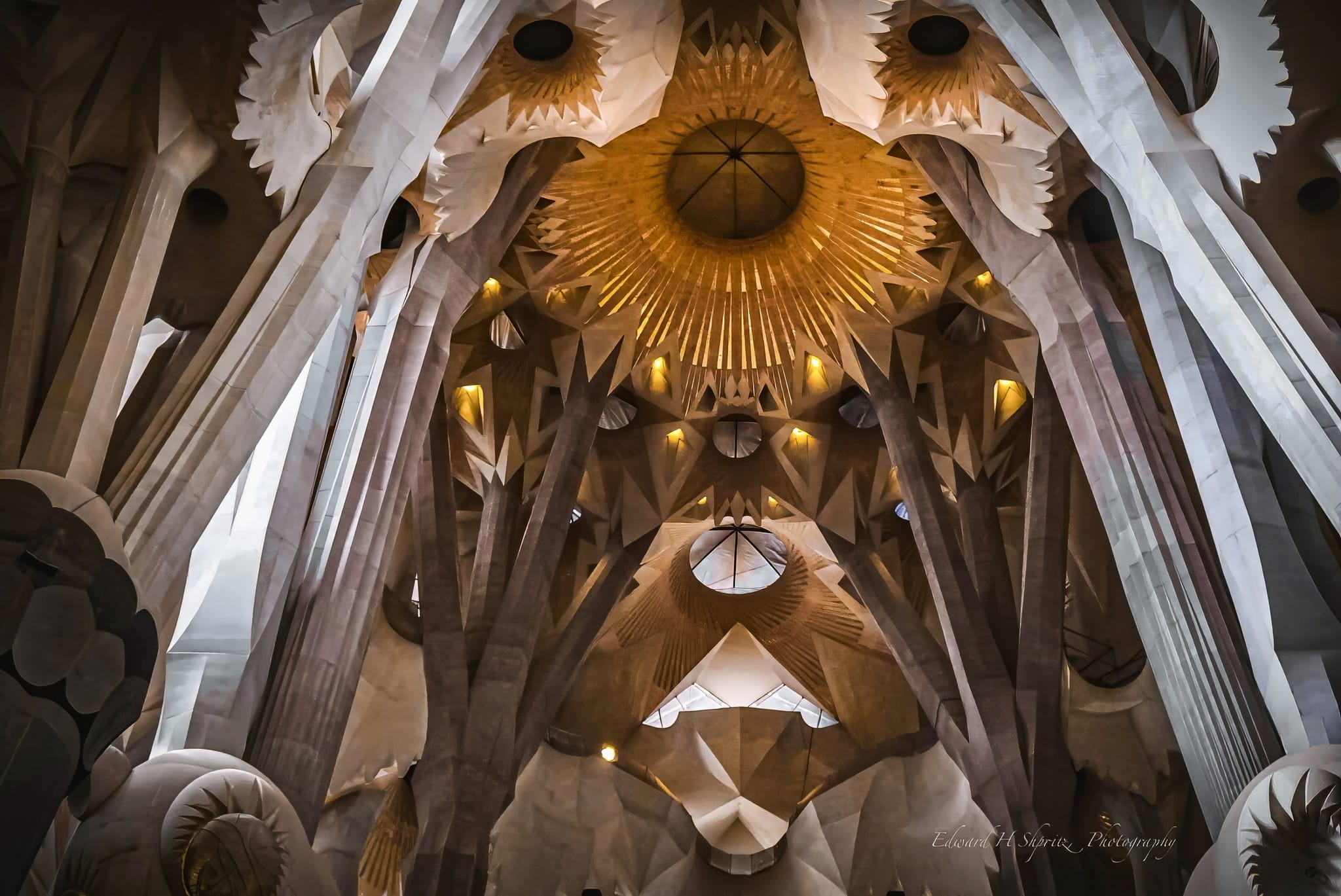 The geometric ceiling and branching columns inside Barcelona's Sagrada Família