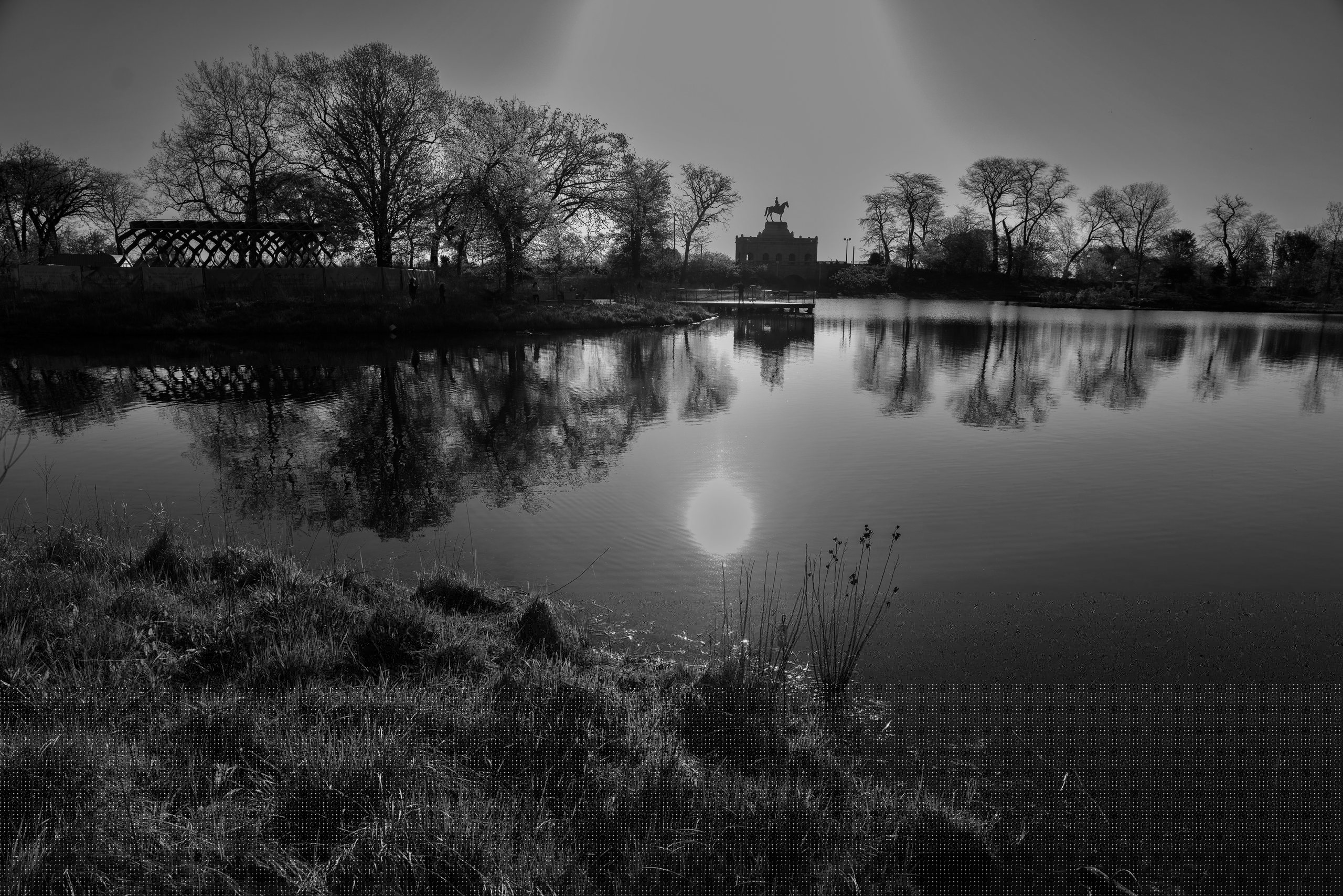 The sun and bare trees reflected across a still pond in black and white