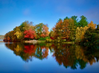 A small autumn-colored island reflected on calm blue water