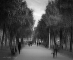 A black and white tree lined avenue with people, blurred by intentional camera movement