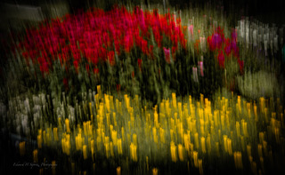 A field of red and yellow flowers blurred by intentional camera movement