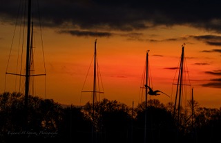 Sailboat masts silhouetted against an orange sunset sky