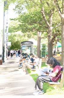 People sitting under leafy trees beside a city sidewalk, soft green