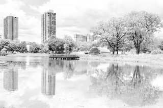 Photograph by Ed Shpritz