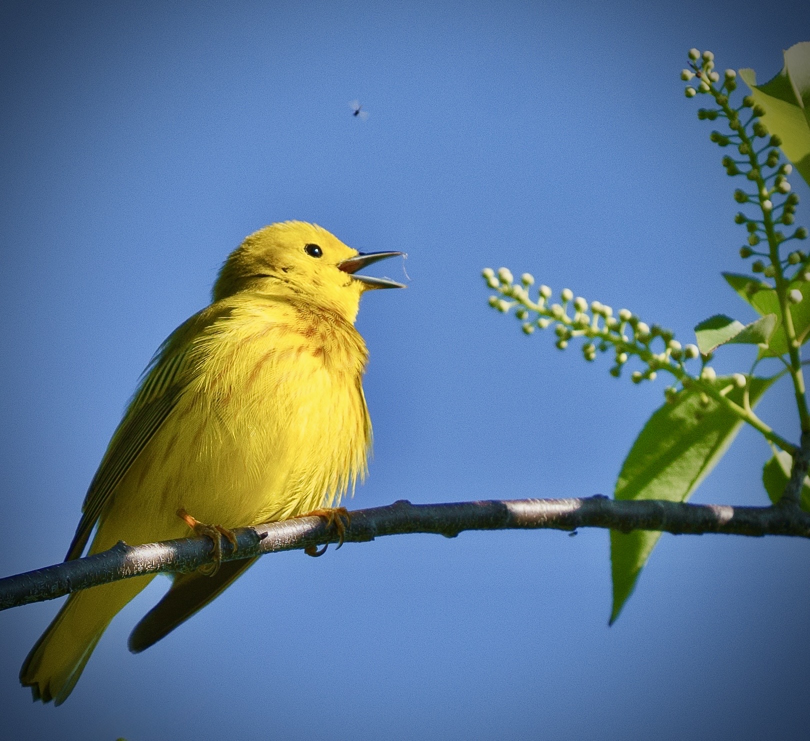 Photograph by Ed Shpritz